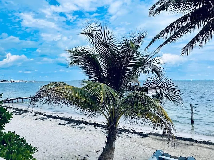Punta Me Apartments Ocean View & Beach Front Cancun Mexico
